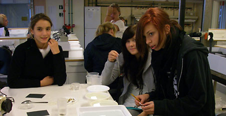 Lab work