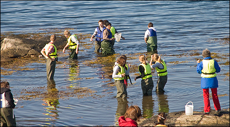 Sea Me participants at the small island Matkullen