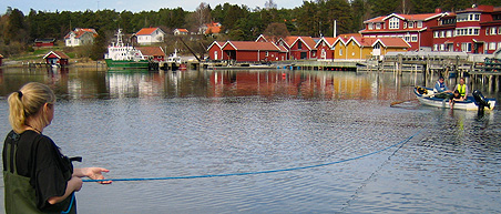 Putting out at a net at Tjärnö