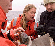 Students on research vessel