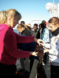 Looking at kelp