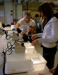 Lab work