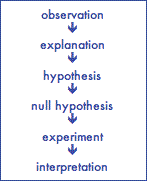 The scientific protocol