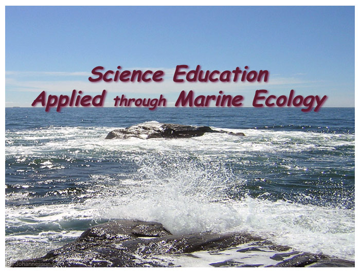 SEA ME start image