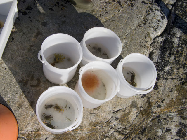 2008_09_05_Sea_Me1255