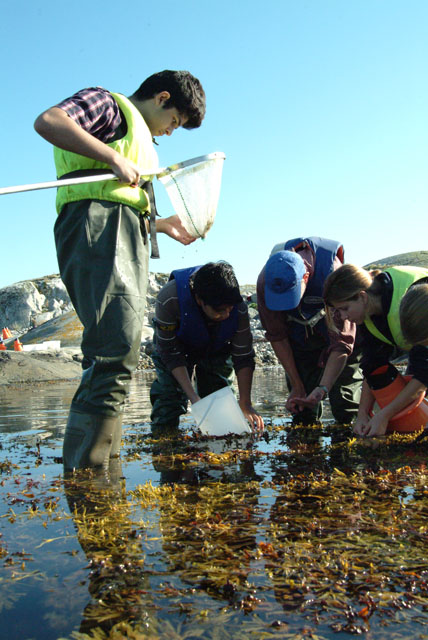 2008_09_05_Sea_Me1272d