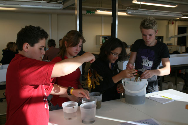 20080926_1546b
