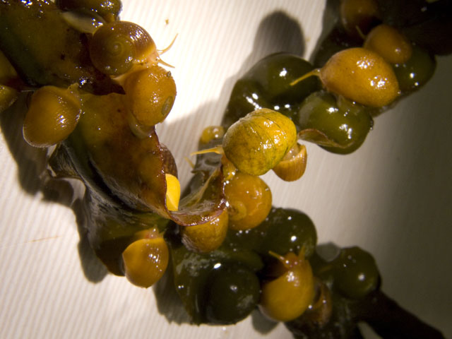 20080927_1531