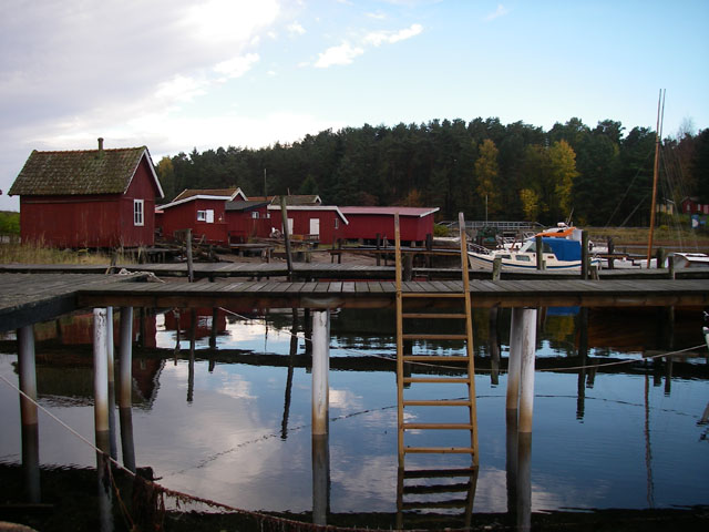 IMGP5856