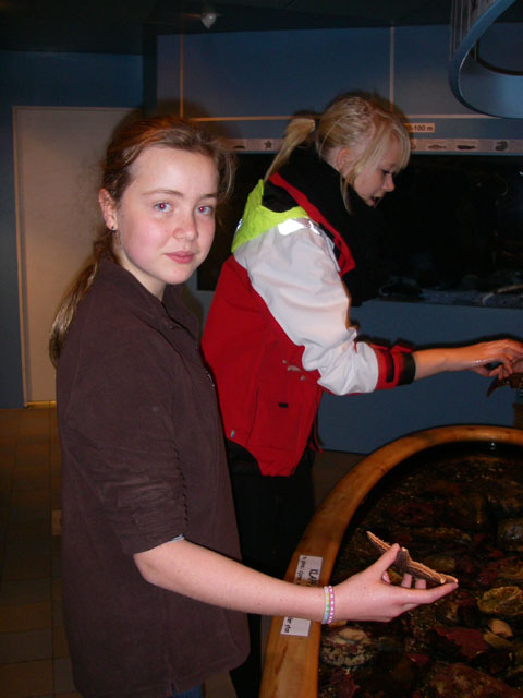 IMGP5867