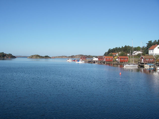 IMGP5909