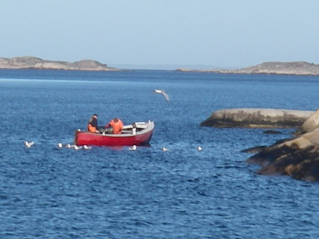 IMGP5922