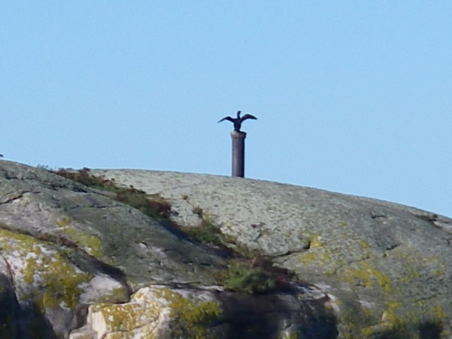 IMGP5928