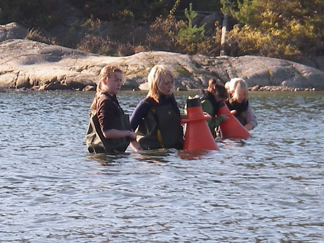 IMGP6063