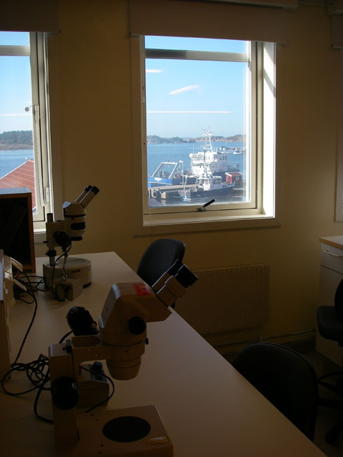 IMGP6073