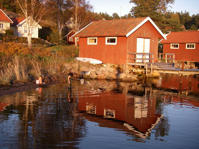 IMGP6089