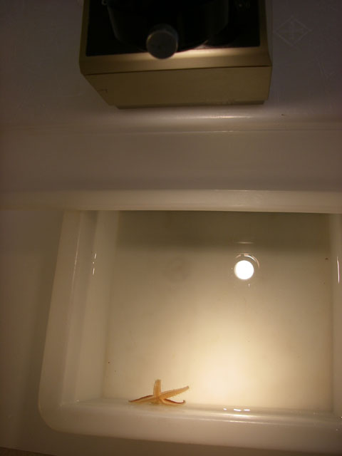 IMGP6142