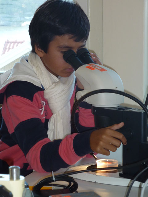 Cherene's Photos 013